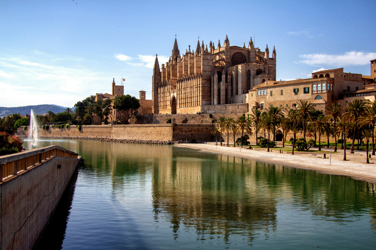 Palma: Old Town Guided Tour with Cathedral Skip-the-Line