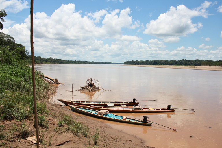 Puerto Maldonado: 4-Day Tambopata Amazon Photography Tour