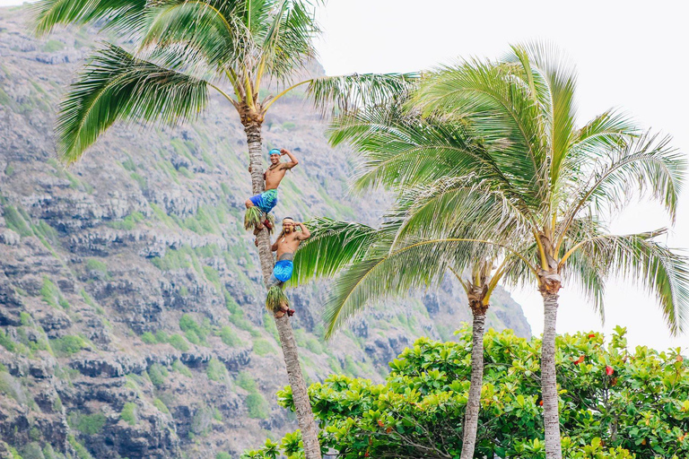 Honolulu: Ka Moana Luau Dinner and Show with Transportation Splash Package with Transportation