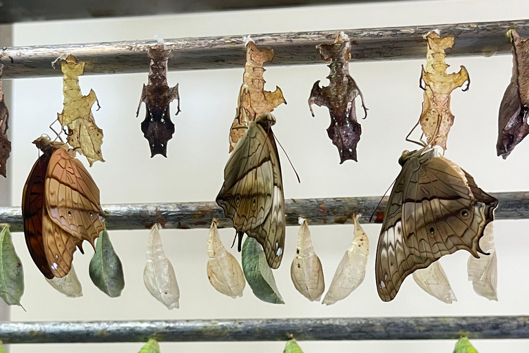 Hike or Boat Trip: Penang National Park & Garden Pick Penang National Park (Trek-In, Boat-Out) & Spice Garden