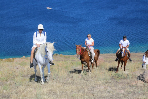 Bodrum: Horseback Riding Adventure with Hotel Pickup 2-Hour Forest & Beach Horse Riding with Transfers