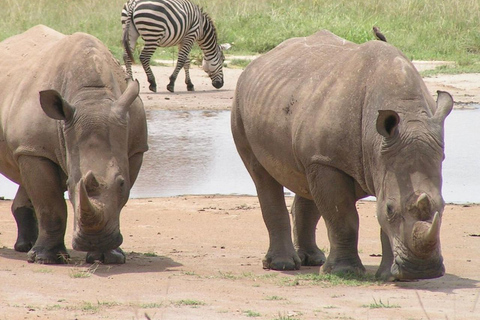 Nairobi Excursión privada de un día al Parque Nacional del Lago Nakuru