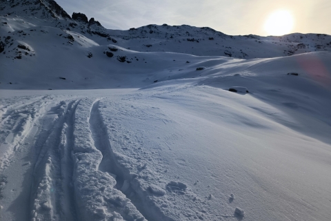 Suiza: Tour privado de un día de esquí para cualquier niveltour de día completo de 12 horas