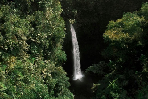 Bali: Monkey Forest, Waterfall, Swing & Beratan Lake Temple Private Tour Without Entrance Tickets