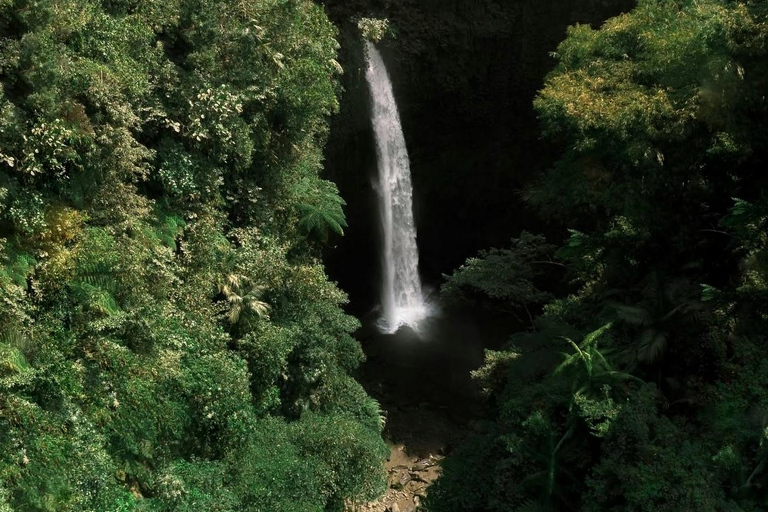 Bali: Monkey Forest, Waterfall, Swing & Beratan Lake Temple Private Tour Without Entrance Tickets