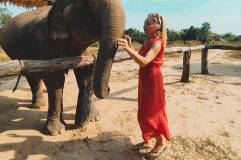 Rundtur i Kambodjas elefantreservat och Banteay Srey-templet