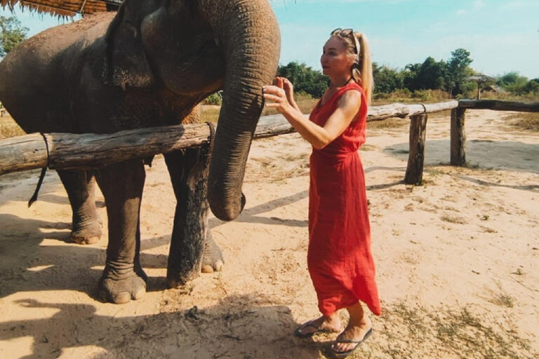 Visite du sanctuaire des éléphants et du temple de Banteay Srey au Cambodge