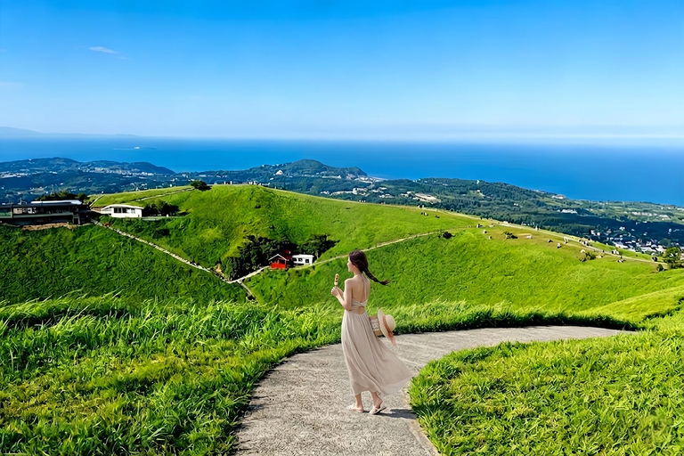Small Group Day Tour:Omuro Mountain & the Izu Scenic Railway Hotel Transfer Option