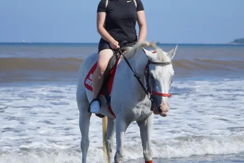 Bali: Horse Riding Experience in Sanur (1 Hour ride)
