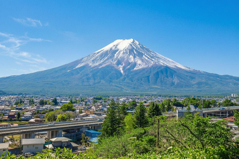 Tokyo: Mt Fuji & Oishi Park, Oshino Hakkai, Chureito Pagoda Free Karaage Chicken Set | Tokyo Station 8:00AM