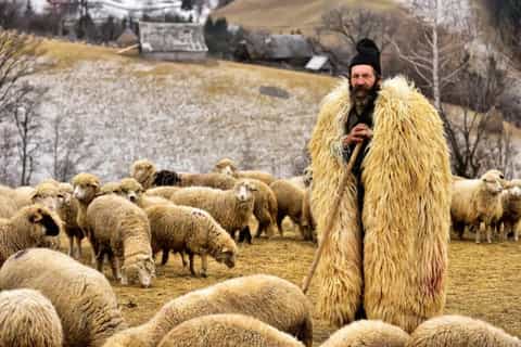 Carpathian Mountains: Multi-day trips