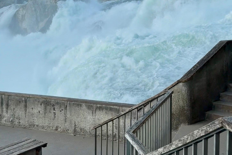 Zurich: Rhine Falls Golden Hour Express Tour