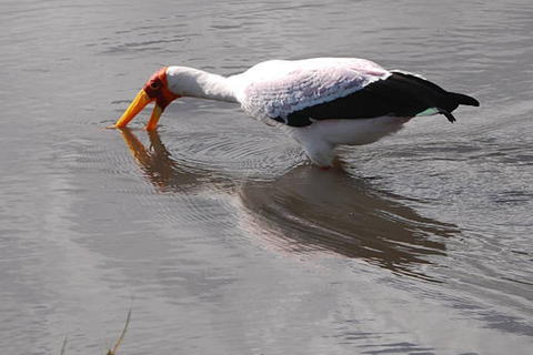 Nairobi: Lake Magadi 2-Day Safari with Hike & Hot Springs