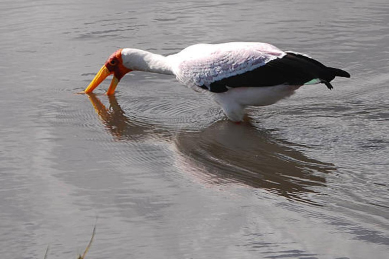 Nairobi: Lake Magadi 2-Day Safari with Hike & Hot Springs