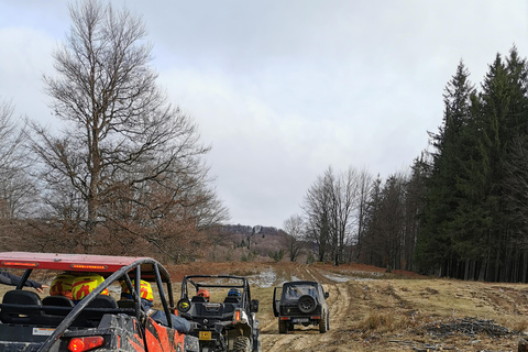 Snöskoter-, ATV- eller buggy-tur från BukarestSnöskoter Privat