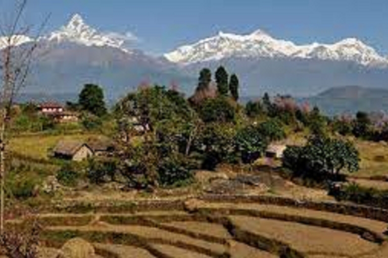 Caminata fácil de 2 noches y 3 días por la colina de Panchase desde Pokhara