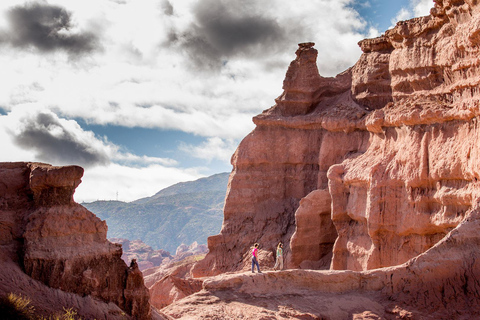 Depuis Salta : Visite d'une jounée des vins et de la vallée de Cafayate