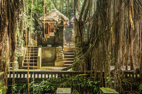 Najlepsze atrakcje Ubud: Wodospad, tarasy ryżowe i Małpi Las"Best of Ubud" z lunchem