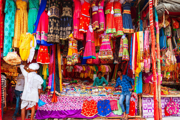 Delhi: Old Delhi, Akshardham Temple, and Light Show Tour English Language Guide