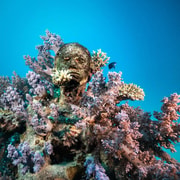 Townsville & Magnetic Island: MOUA & Reef Scuba Experience