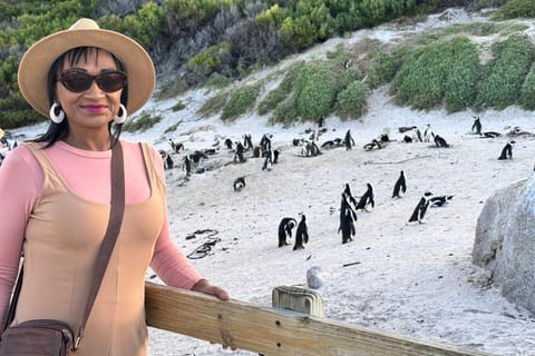Cape Town: Half-Day Table Mountain and Penguin Group Tour