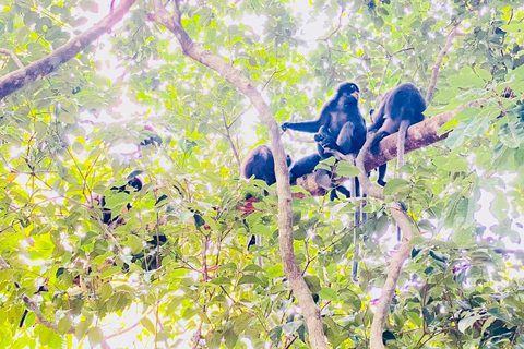 Ko Lanta: Sightseeingtour mit Mittagessen im LongtailbootKo Lanta: Sightseeingtour mit einem Longtailboot und Mittagessen