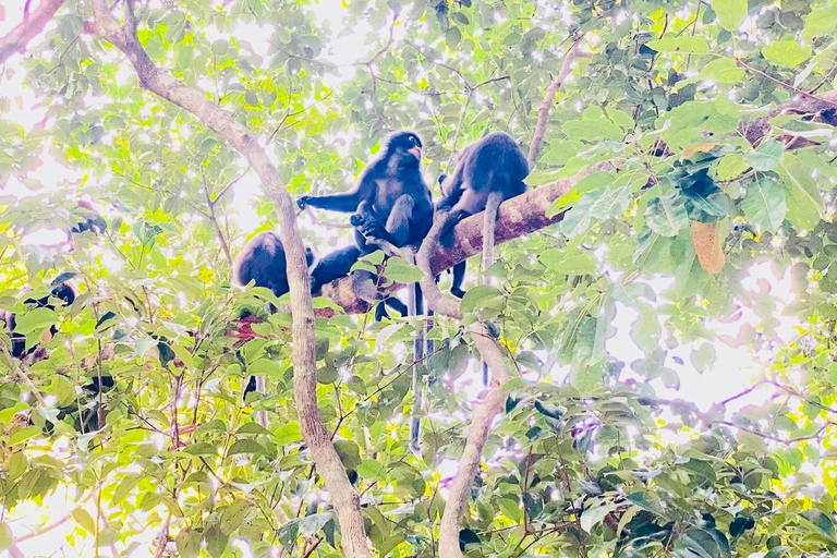 Ko Lanta: Sightseeingtour mit Mittagessen im LongtailbootKo Lanta: Sightseeingtour mit einem Longtailboot und Mittagessen