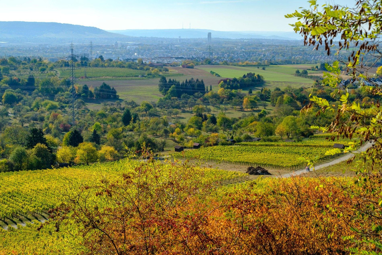 From Stuttgart: Guided tour of the Hegnach Mill