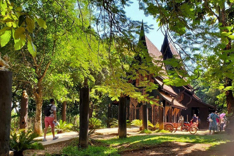 Chiang Mai: Chiang Rai tempel, Gyllene triangeln &amp; båttur