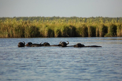 From Batumi: Georgian Amazon & Kolkheti Park Tour