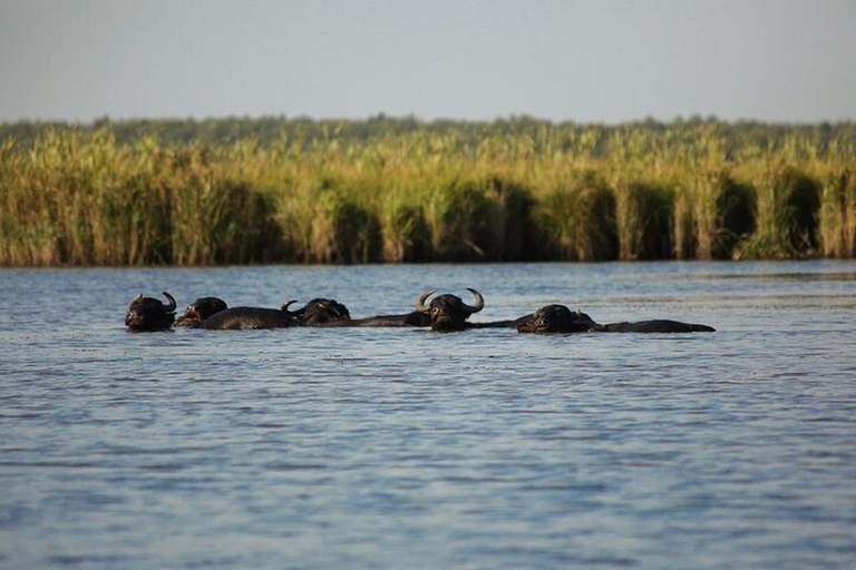 From Batumi: Georgian Amazon & Kolkheti Park Tour