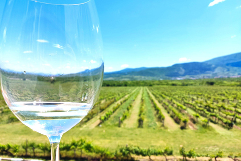 Plovdiv:Rural Tasting in Academic Winery &Artisan Dairy Farm