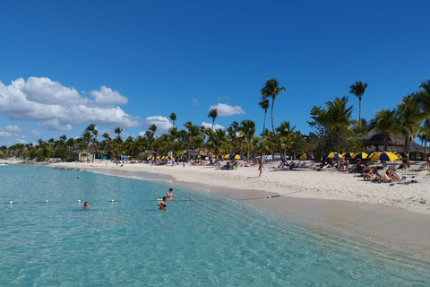 Snorkelen op Catalina eiland met eten en drinken (Hele dag)