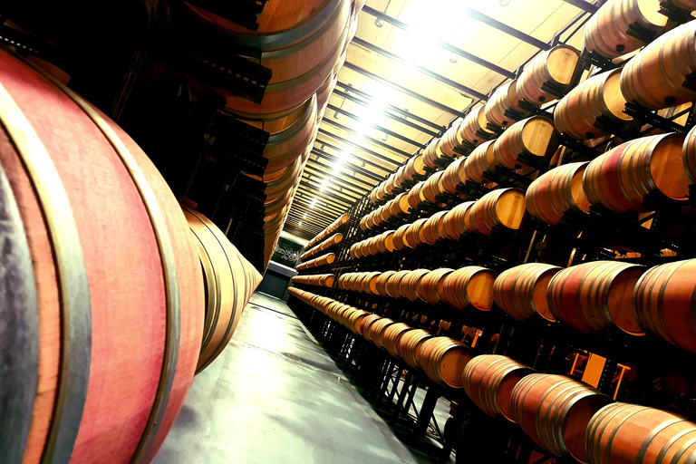 Ribera del Duero Sightseeing Tour: From Madrid to the Ribera del Duero - lunch included RIBERA DEL DUERO WITH FULL LUNCH INCLUDED