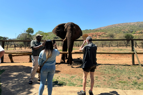 Olifantenopvangtour vanuit Johannesburg