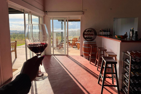 Colonia del Sacramento: Vineyard Tour & Special Wine Tasting