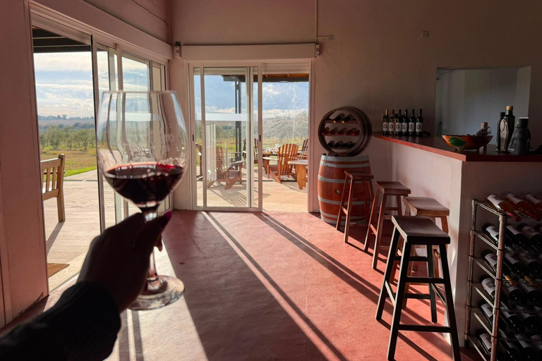 Colonia del Sacramento: Vineyard Tour & Special Wine Tasting