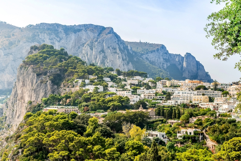 Sorrente : Capri en bateau et grotte bleue en optionPrise en charge dans la région de Sorrente sans grotte bleue