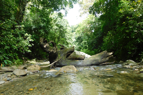 Santa Marta: San Isidro de La Sierra Waterfall Day Tour