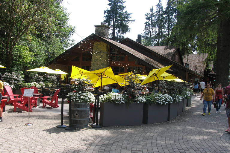 Ponte sospeso di Capilano/Tour privato in auto/Prezzo garantito