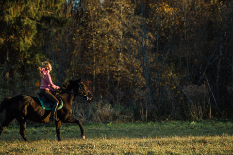Loire Valley: Full Day Horse Ride, Grand Canal & Castle View