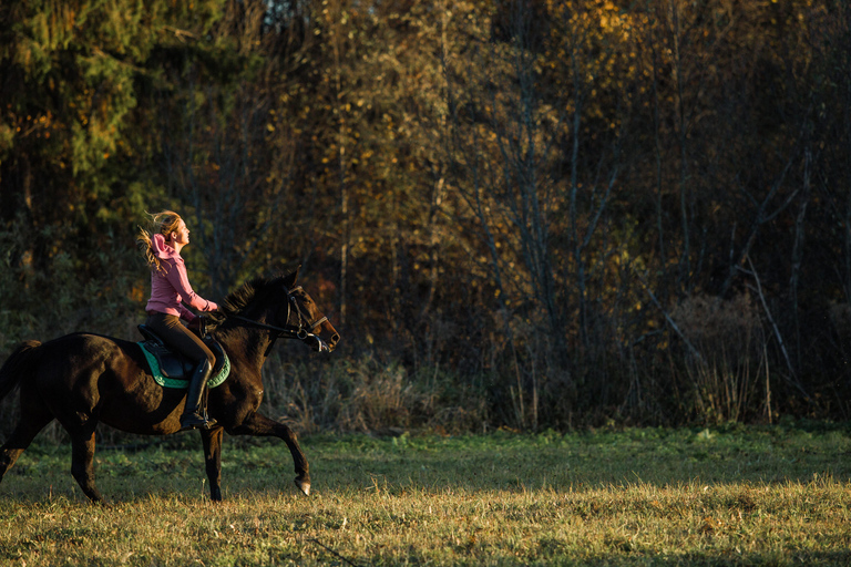 Loire Valley: Full Day Horse Ride, Grand Canal & Castle View