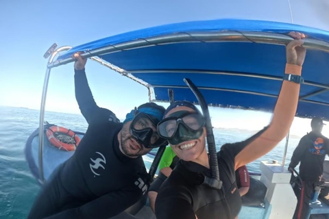 La Paz: Whale Shark Swim Tour with Snorkel Gear & Photos