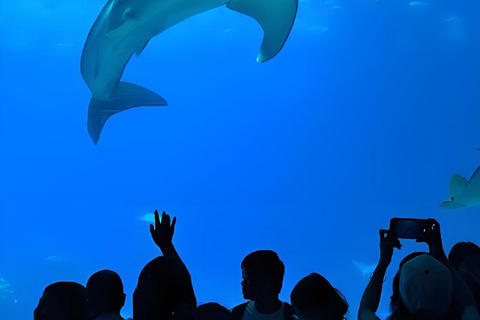 Kaiyukan Aquarium Entry Ticket & Ocean Life Guide