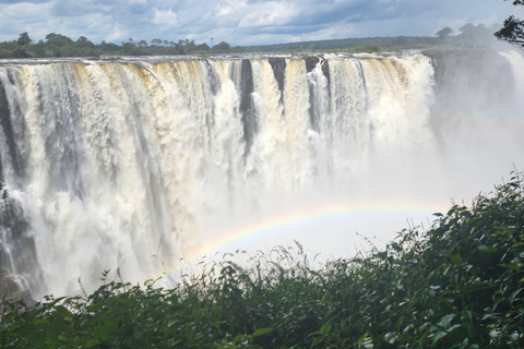 Victoria Falls Zimbabwe: Mosi-oa-Tunya Walk with Local Guide