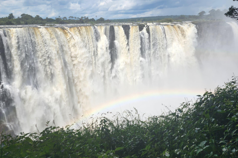 Victoria Falls Zimbabwe: Mosi-oa-Tunya Walk with Local Guide