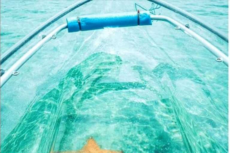 Clear Kayak Tour at Sint Maarten