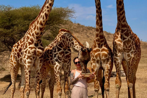 1-Day Serval Wildlife from Zanzibar better than a Zoo