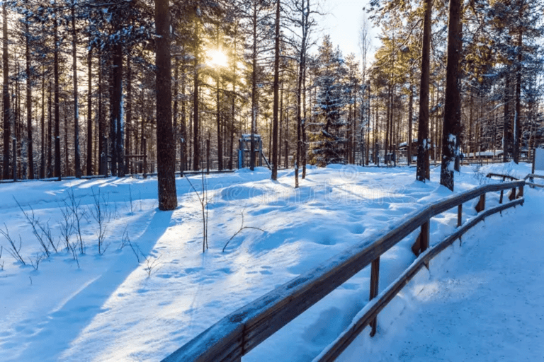 Rovaniemi: Ranua Wildlife Park Experience