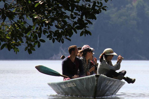 2DAY|| Collpa de Guacamayos: Espectáculo Natural en la Amazonia